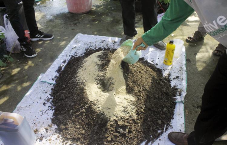 Pupuk-Bokashi-Tingkatkan-Pertumbuhan-dan-Produksi-Tanaman_169219